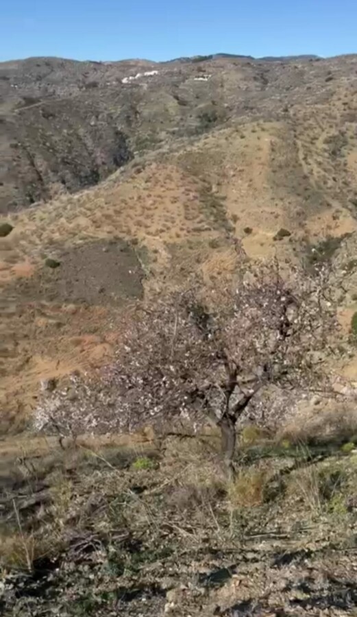 Foto de la propiedad